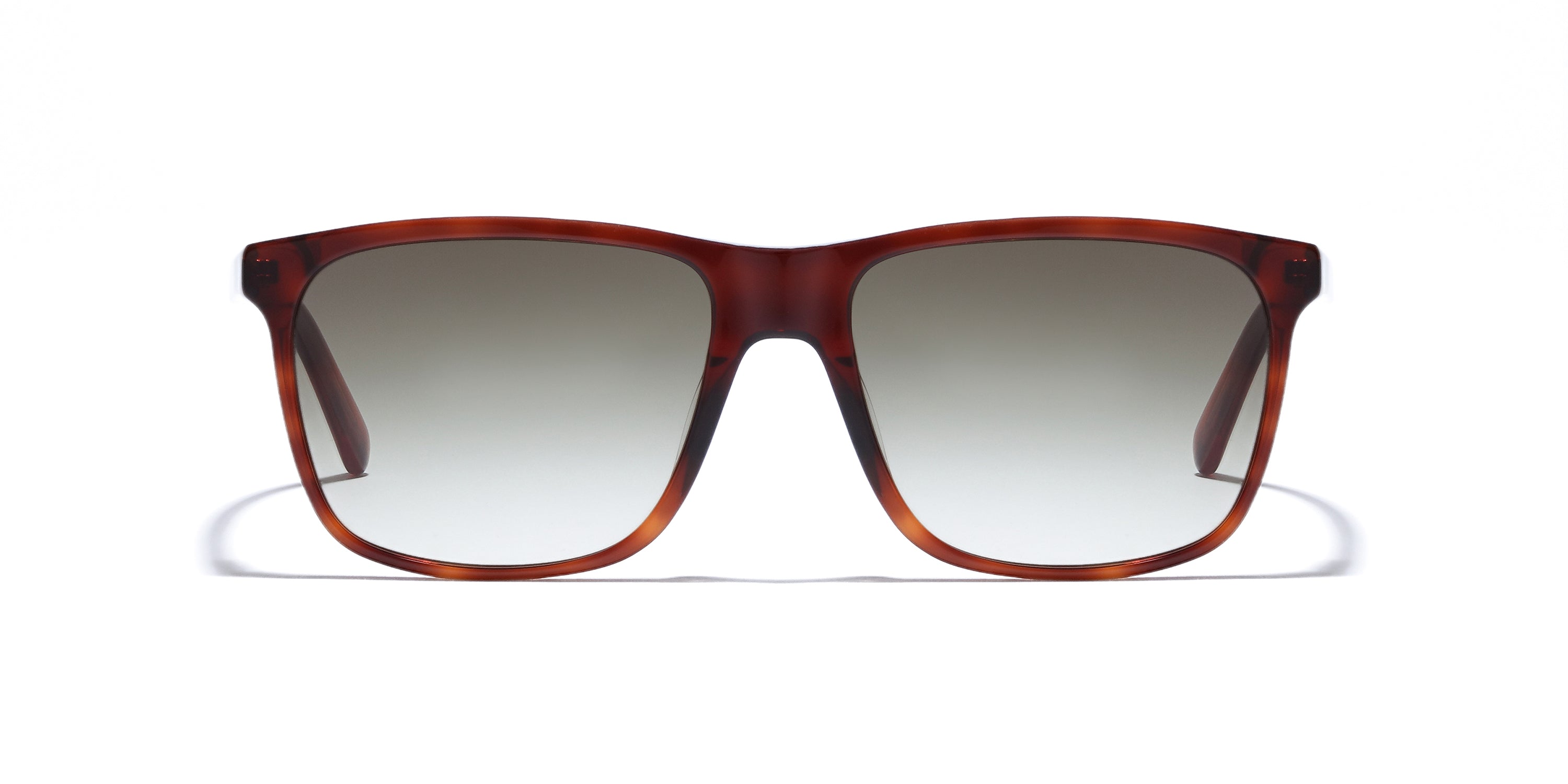 Democratic Eyewear - Gable Sun
