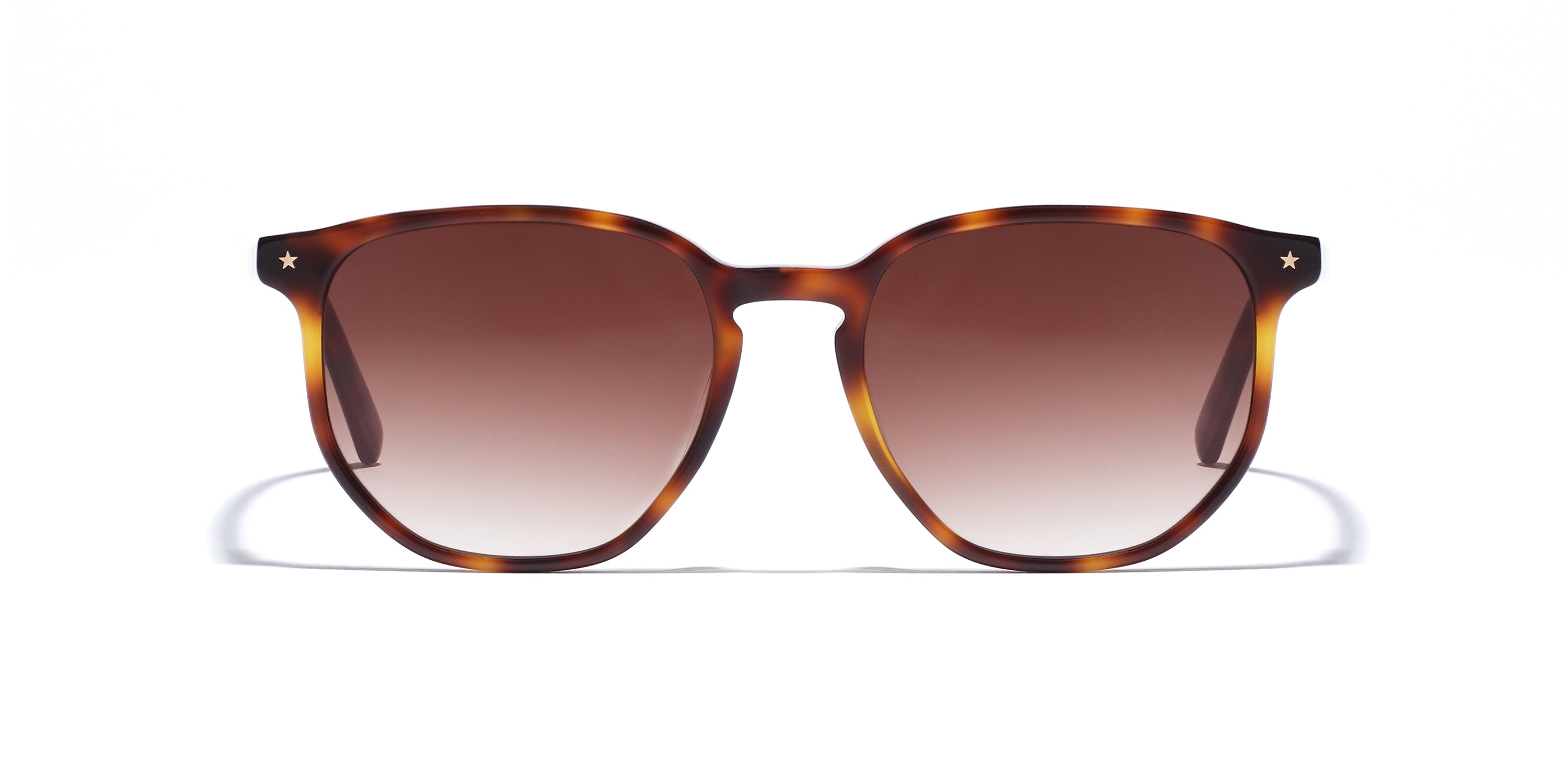 Democratic Eyewear - Davis - Sun
