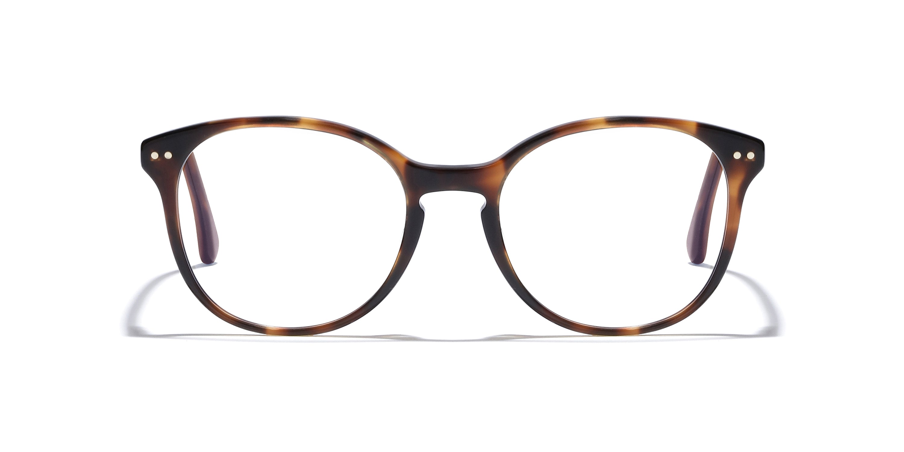 Democratic Eyewear - Speech